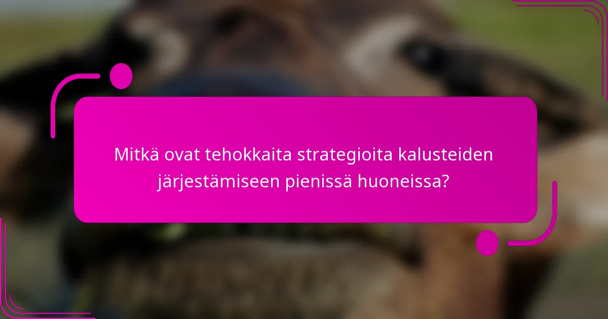 Mitkä ovat tehokkaita strategioita kalusteiden järjestämiseen pienissä huoneissa?